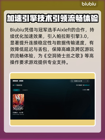 🎮空洞骑士丝之歌加速器大揭秘！截图3
