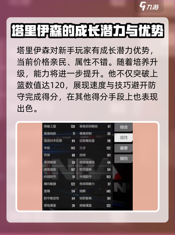 美职篮全明星塔里伊森怎么样介绍截图4
