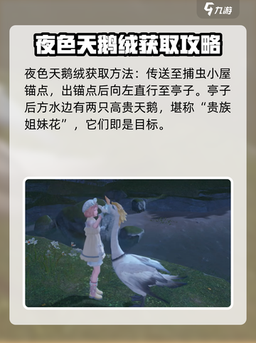 无限暖暖夜色天鹅绒获取攻略介绍截图2