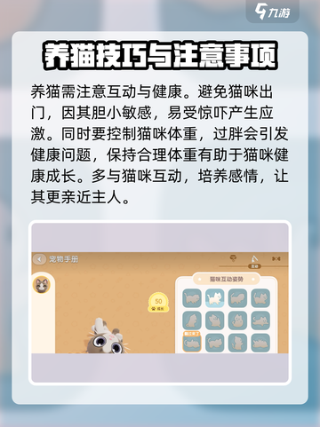 心动小镇🔥超全撸猫玩法攻略，云吸猫就在这里！🐾截图6