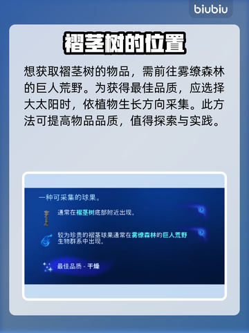 《阿凡达潘多拉边境》松球果位置大揭秘🔥截图3