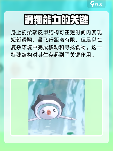 洛克王国世界小鹬怎么样介绍截图3