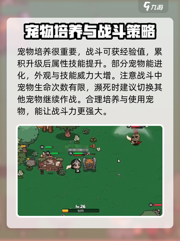 英勇之地怎么抓宠物的介绍截图5