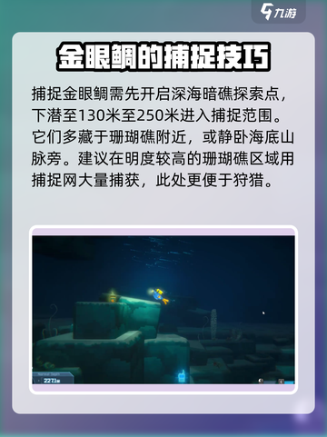 潜水员戴夫金眼鯛是什么介绍截图2