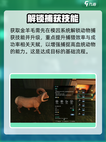 七日世界金羊毛获取攻略介绍截图2