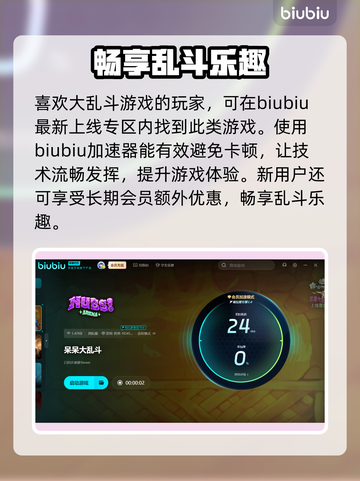 呆呆大乱斗⚡加速器选择推荐，玩游戏更流畅！🎮截图4