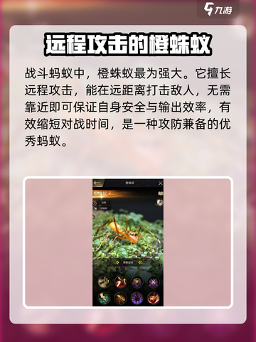 小小蚁国什么蚂蚁厉害介绍截图2