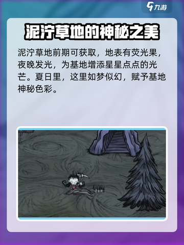 饥荒联机版好看的地皮有哪些介绍截图2