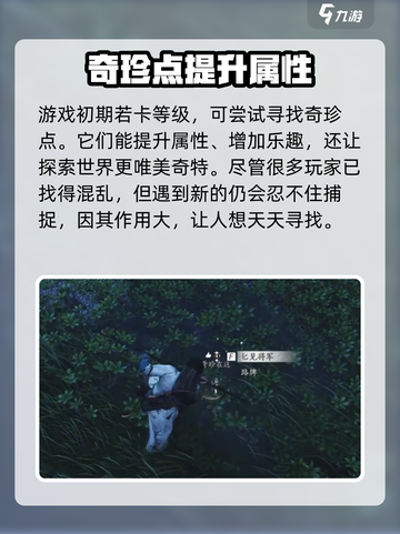 燕云十六声🔥奇珍系统全攻略，隐藏秘籍大曝光！截图6