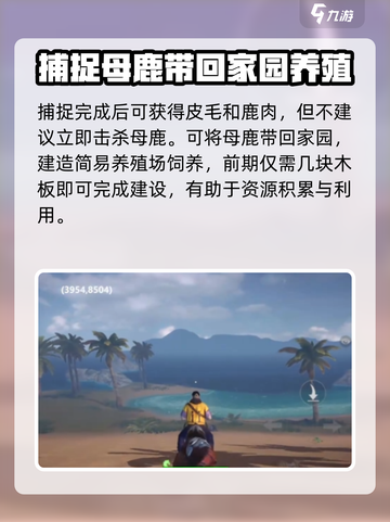 逆境重生母鹿抓捕🔥超简单攻略来啦！🎮截图3
