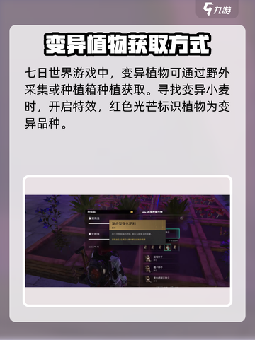 七日世界🔥变异小麦获取&种植攻略🌾截图2