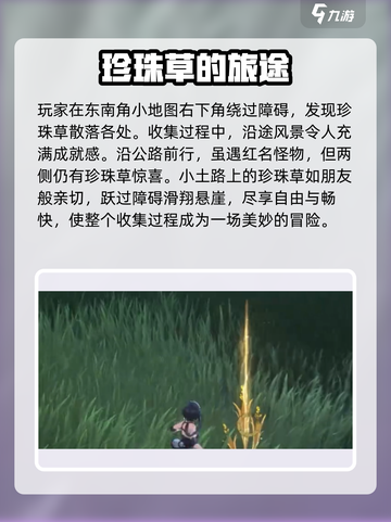 《鸣潮珍珠草全收集攻略💎速拿指南》截图4