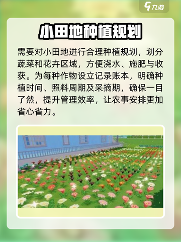 心动小镇🔥快速种植技巧，效率飙升💯截图2