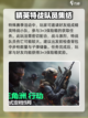 三角洲行动3×3保险怎么获得介绍截图4