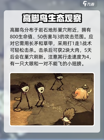 饥荒联机版高脚鸟是什么介绍截图2