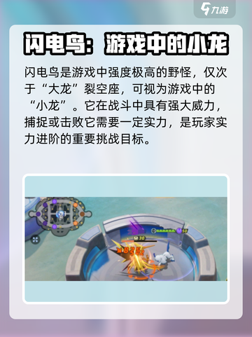 宝可梦大集结⚡闪电鸟打法揭秘，轻松制胜秘籍！截图2