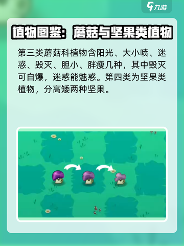 植物大战僵尸3阶植物有几种介绍截图4