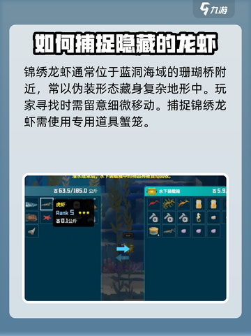 潜水员戴夫锦绣龙虾位置一览介绍截图2