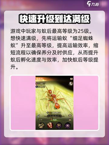 小小蚁国满级建筑最高是多少介绍截图3