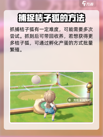 米姆米姆哈桔子狐怎么获取介绍截图5