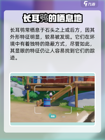 心动小镇🔥必看！特殊鸟类位置大全🎉截图4
