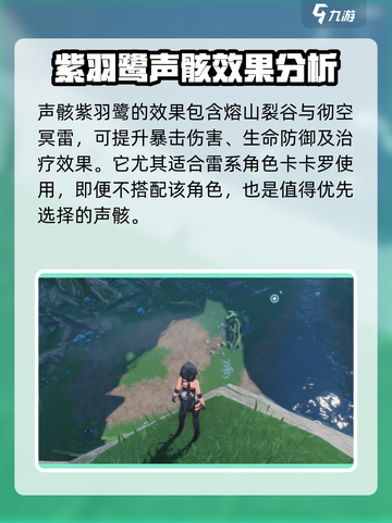 鸣潮🔥紫羽鹭技能超详细分享🎉游戏党必看！截图3