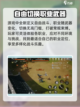 剑灵2手游公测时间🔥等你来战！🎉截图3