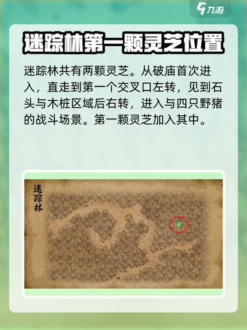 大侠立志传迷踪林灵芝在哪介绍截图2