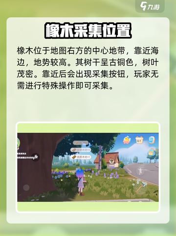 心动小镇🔥珍惜木材获取攻略💎截图3