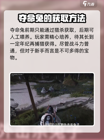 七日世界夺命兔获取方法🔥超详细攻略🎉截图4