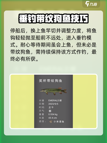 《钓鱼星球》带纹狗鱼爆钓技巧！🎣截图5