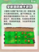 植物大战僵尸抽卡版手机怎么玩介绍截图2
