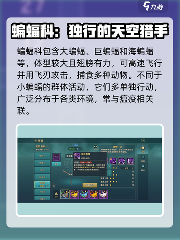 魔力宝贝：蝙蝠科宠物大起底，🔥必看！截图2