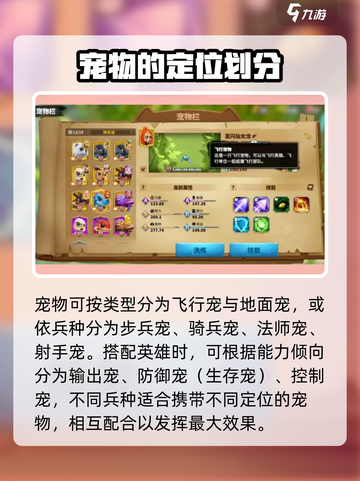 万龙觉醒🔥宠物养成全攻略💡宠物系统详细介绍截图3