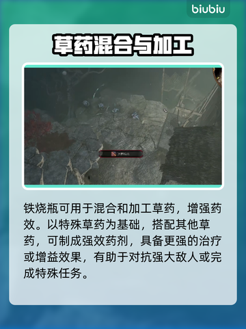 博德之门3🔥铁烧瓶隐藏作用大揭秘！✨截图4