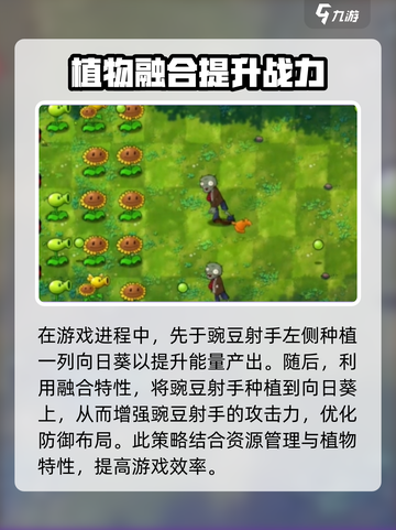 植物大战僵尸融合版第一关🔥超简单攻略🎉截图3