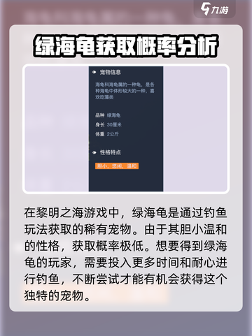 黎明之海💚绿海龟获取攻略，快速捕捉地点大曝光！截图2