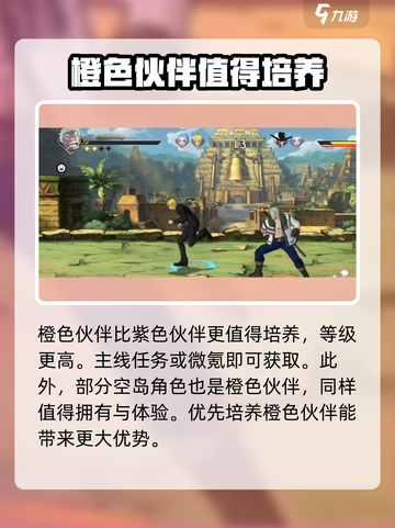 航海王壮志雄心🔥角色等级划分超详细解析来了！截图4