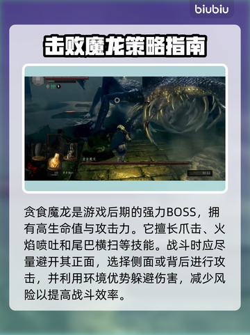艾尔登法环：贪食魔龙打法全攻略！🔥黑龙截图2