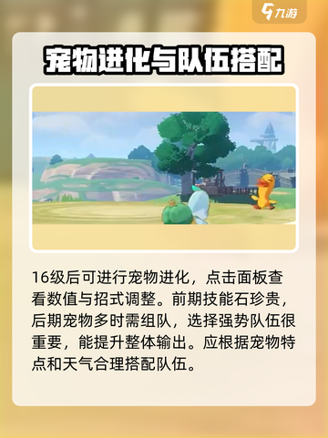 洛克王国世界前期开荒攻略介绍截图4