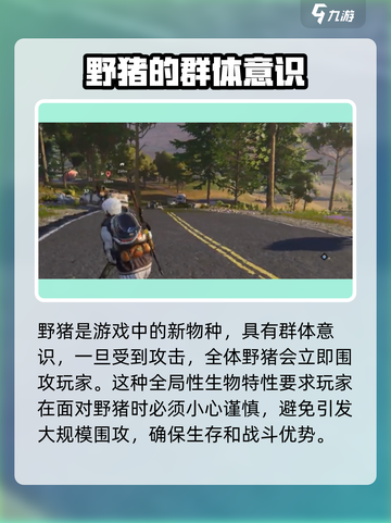 七日世界野猪怎么打介绍截图2