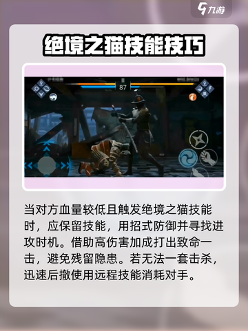 暗影格斗3绝境之猫🔥超强玩法攻略来啦！截图4