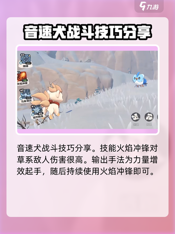 洛克王国手游音速犬抓捕🔥超详细获取方法来了！截图4