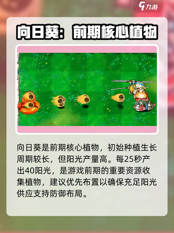 植物大战僵尸杂交版向日葵怎么样介绍截图2