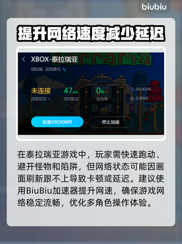 泰拉瑞亚闪退？用这个加速器🔥立马解决！截图4