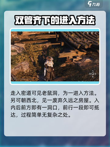 燕云十六声😎：慈心镇老鼠洞入口位置大起底！截图3