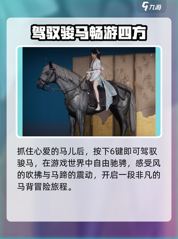 燕云十六声怎么骑马介绍截图4