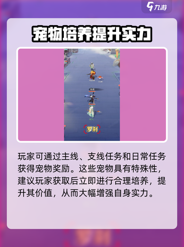 灵兽大冒险宠物怎么获得介绍截图3