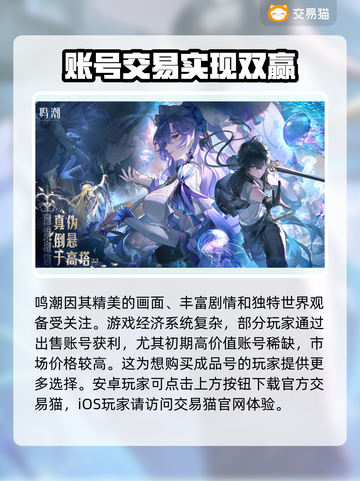 鸣潮成品号交易渠道大曝光！💰游戏党必看🔥截图2