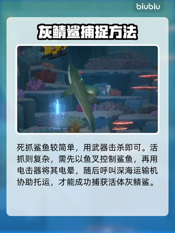 《潜水员戴夫》灰鲭鲨捕捉技巧大公开！🐟截图5